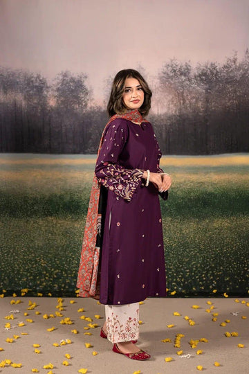 3-Piece Embroidered Dhanak Dress
