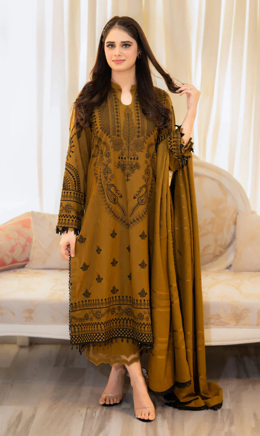 3-Piece Embroidered Dhanak Dress